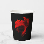 Ruby Rode Siamese Vechtvissen Papieren Bekers (Achterkant)