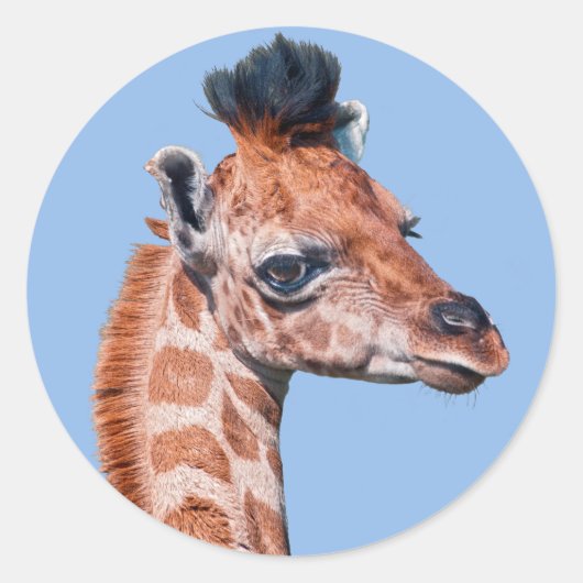 Ruby Sticker (Voorkant)