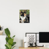 Ruby The Big Kitten, 20 maanden oud Poster (Thuiskantoor)