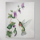 Ruby=throasted Hummingbird Garden Fuchsia Poster (Voorkant)