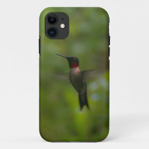 Ruby Throat Hummingbird iPhone 11 Hoesje