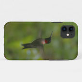 Ruby Throat Hummingbird Case-Mate iPhone Case (Achterkant (horizontaal))