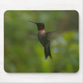 Ruby Throat Hummingbird Muismat (Voorkant)
