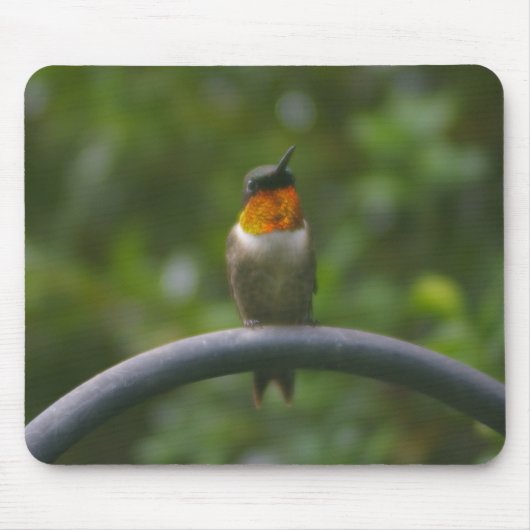 Ruby Throat Hummingbird Muismat (Voorkant)