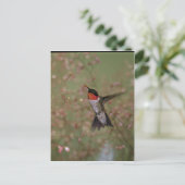 Ruby Throated Humming Bird Briefkaart (Staand voorkant)