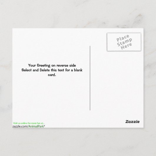 Ruby Throated Humming Bird Briefkaart (Achterkant)