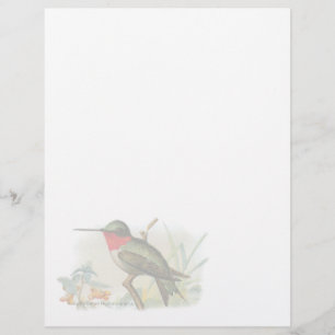  Ruby Throated Humming Bird Letterhead