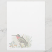 Ruby Throated Humming Bird Letterhead (Voorkant)