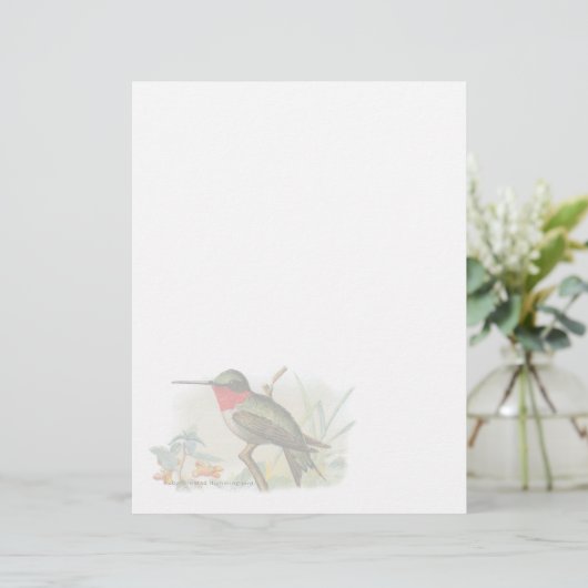 Ruby Throated Humming Bird Letterhead (Staand voorkant)