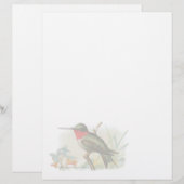  Ruby Throated Humming Bird Letterhead (Voorkant / Achterkant)