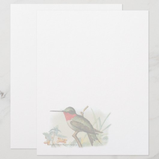 Ruby Throated Humming Bird Letterhead (Voorkant / Achterkant)