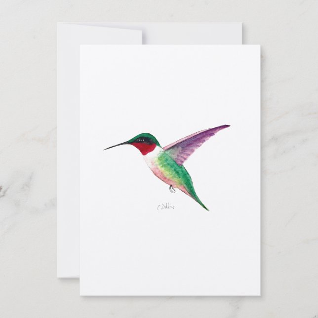 Ruby-throated Hummingbird (Voorkant)