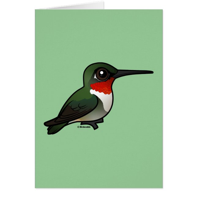 Ruby-throated Hummingbird (Voorkant)
