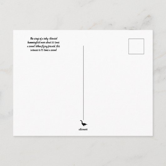 Ruby Throated Hummingbird 00Briefkaart Briefkaart (Achterkant)