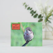 Ruby Throated Hummingbird 00Briefkaart Briefkaart (Staand voorkant)
