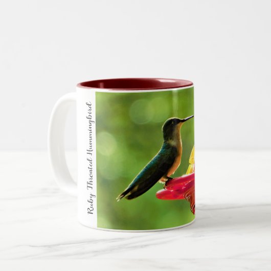 Ruby-Throated Hummingbird 11 oz Vogelfotografie Tweekleurige Koffiemok (Voorkant links)