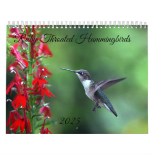 Ruby Throated Hummingbird 2025 Kalender