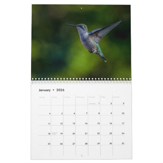 Ruby Throated Hummingbird 2025Kalender Kalender (Jan 2026)