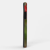 Ruby-Throated Hummingbird Archilochus Colubris Case-Mate iPhone Case (Achterkant/rechts)