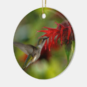 Ruby-Throated Hummingbird Archilochus Colubris Keramisch Ornament (Links)
