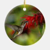 Ruby-Throated Hummingbird Archilochus Colubris Keramisch Ornament (Achterkant)