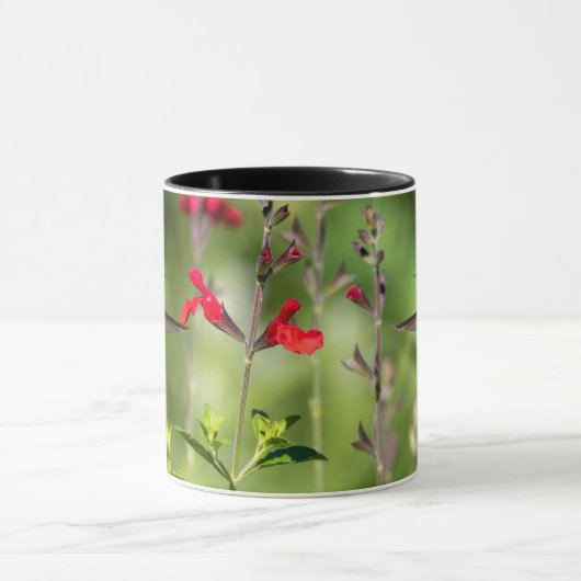 Ruby-Throated Hummingbird beroemd gemaakt door Rad Mok (Midden)