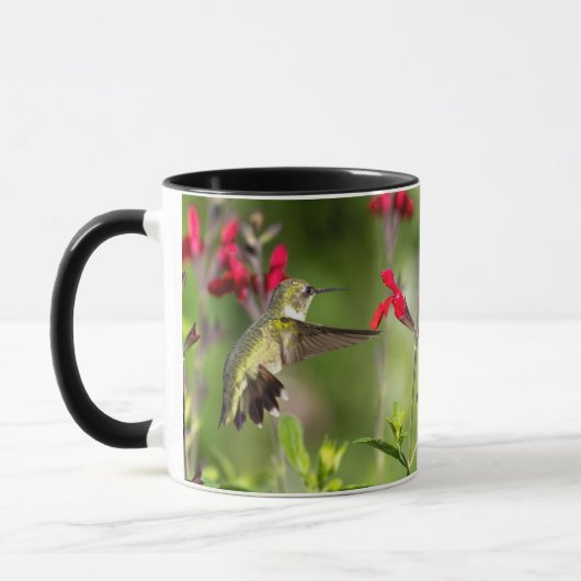 Ruby-Throated Hummingbird beroemd gemaakt door Rad Mok (Links)