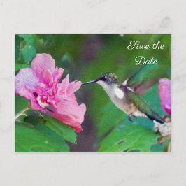 Ruby Throated Hummingbird Bewaar de datum Briefkaa Aankondigingskaart