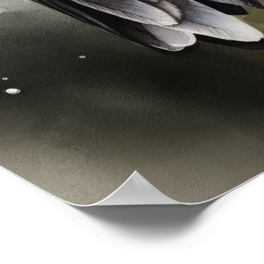 Ruby Throated Hummingbird Bird Art Print Poster (Hoek)