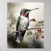 Ruby Throated Hummingbird Bird Art Print Poster (Voorkant)