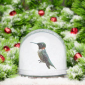 Ruby-Throated Hummingbird Bird Photography Sneeuwbol (Kerstmis)