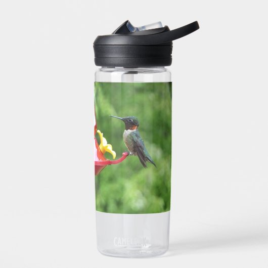 Ruby-Throated Hummingbird Bird Photography Waterfles (Links)