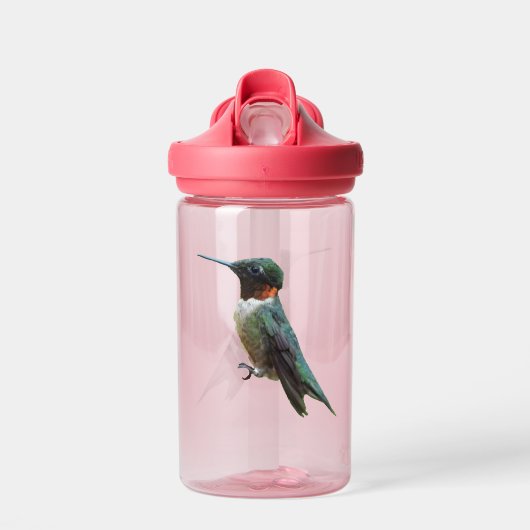 Ruby-Throated Hummingbird Bird Photography Waterfles (Voorkant)