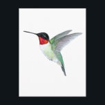 Ruby-throated Hummingbird Briefkaart<br><div class="desc">Postcard featuring a hand-painted Ruby-throated Hummingbird by C. Dobbins.</div>