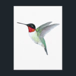 Ruby-throated Hummingbird Briefkaart<br><div class="desc">Postcard featuring a hand-painted Ruby-throated Hummingbird by C. Dobbins.</div>