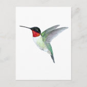 Ruby-throated Hummingbird Briefkaart (Voorkant)