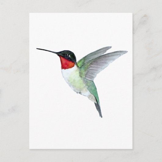 Ruby-throated Hummingbird Briefkaart (Voorkant)