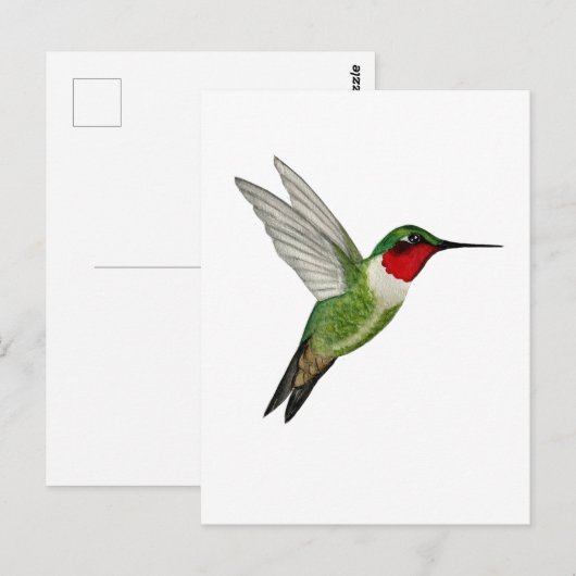 Ruby-throated Hummingbird Briefkaart (Voorkant / Achterkant)