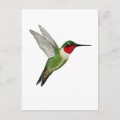 Ruby-throated Hummingbird Briefkaart (Voorkant)