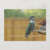 Ruby Throated Hummingbird Briefkaart (Voorkant)