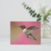 Ruby Throated Hummingbird Briefkaart (Staand voorkant)