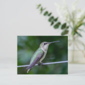 Ruby-throated Hummingbird Briefkaart (Staand voorkant)