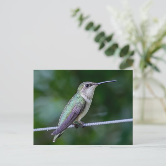 Ruby-throated Hummingbird Briefkaart (Staand voorkant)