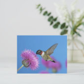 Ruby-throated Hummingbird Briefkaart (Staand voorkant)