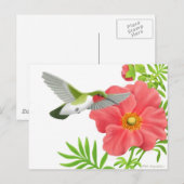 Ruby Throated Hummingbird Briefkaart (Voorkant / Achterkant)