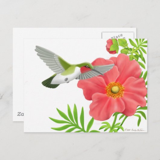 Ruby Throated Hummingbird Briefkaart (Voorkant / Achterkant)