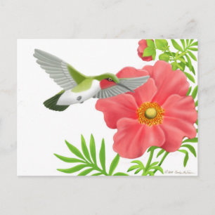 Ruby Throated Hummingbird Briefkaart