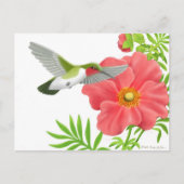 Ruby Throated Hummingbird Briefkaart (Voorkant)