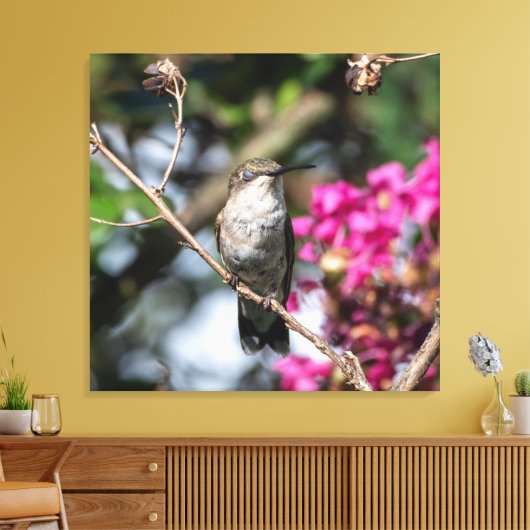Ruby-Throated Hummingbird Canvas Afdruk (Insitu (Woonkamer))