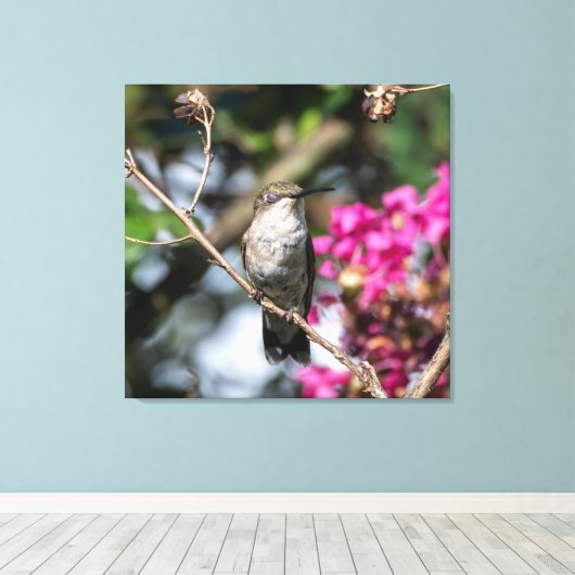 Ruby-Throated Hummingbird Canvas Afdruk (Insitu (Houten vloer))
